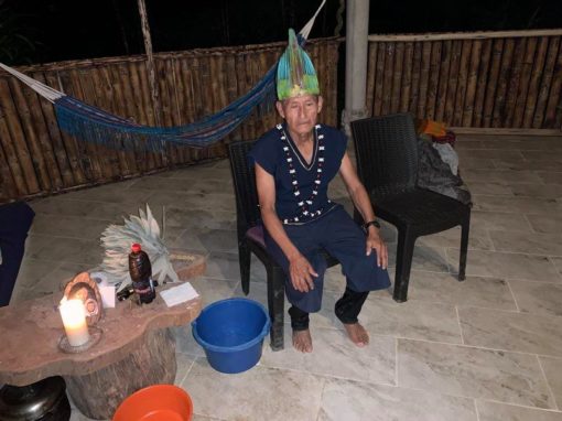 kchwa indigenous yachak during an ayahuasca ceremony blessing the leaf fan chacapa wayra surupanga