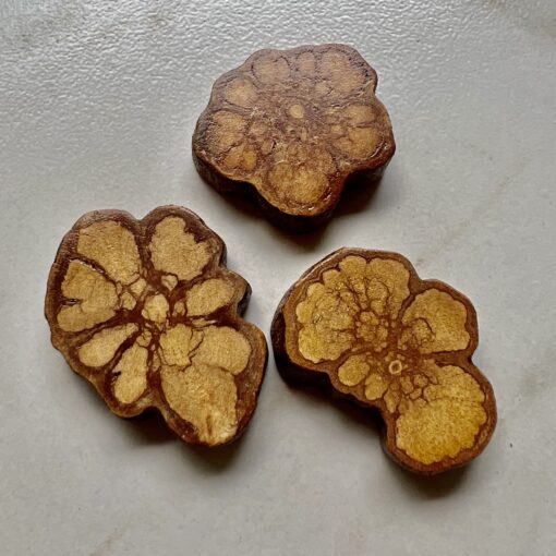 Ayahuasca vine slices