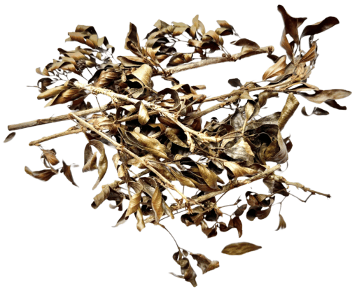 Bobinsana leaves & branches 100g